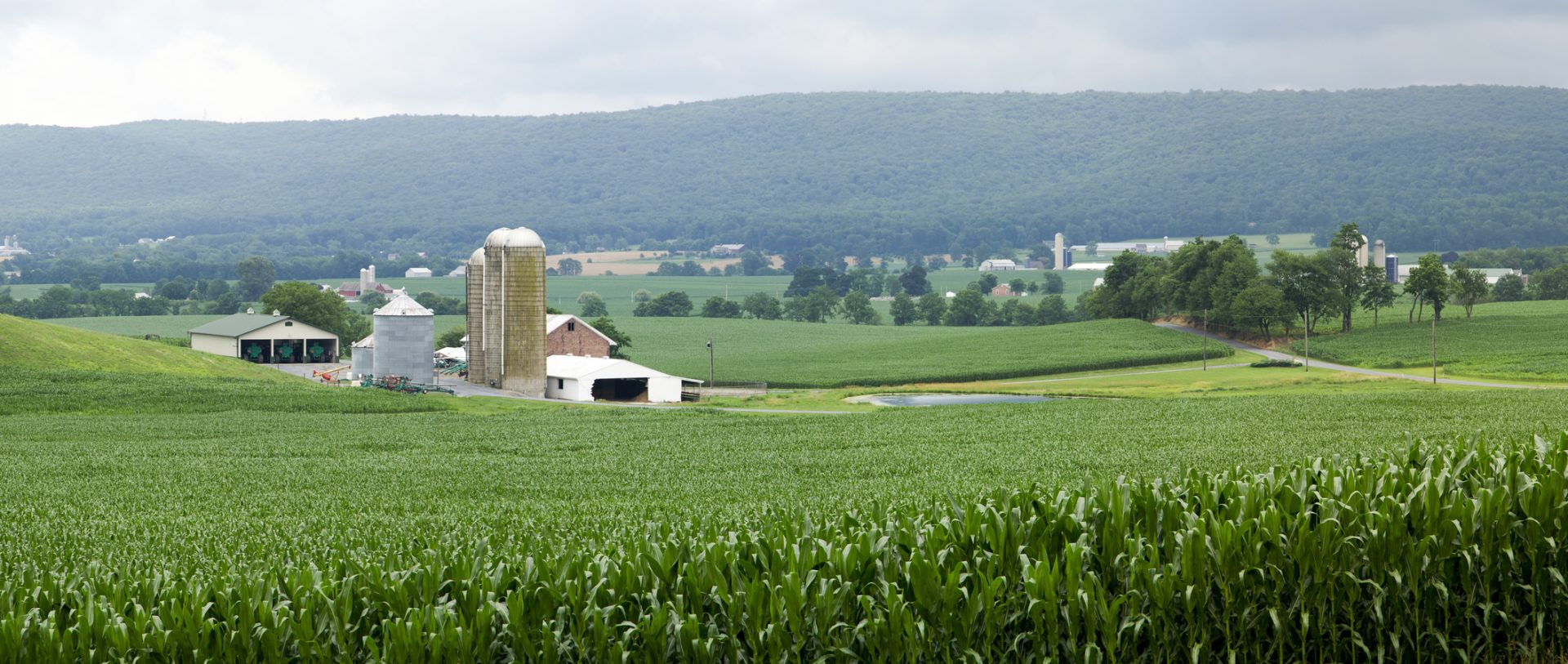 Farm and Crops Lancaster County Agriculture Council