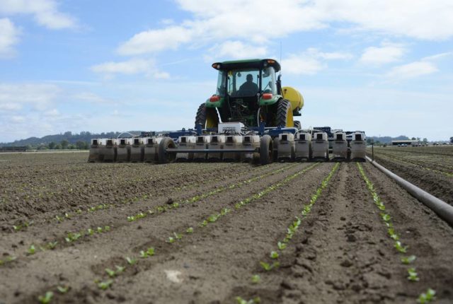 10 mega myths about farming to remember on your next grocery run