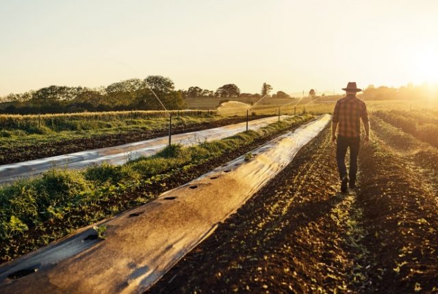 The 8 Lessons Entrepreneurs Could Learn From Farmers