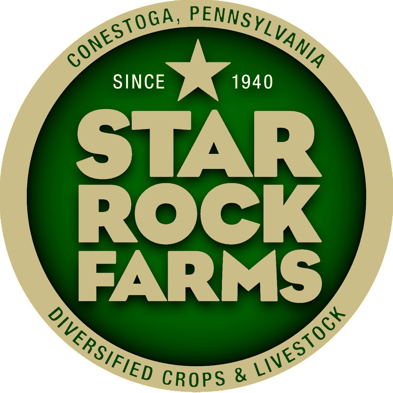 Star Rock Logo